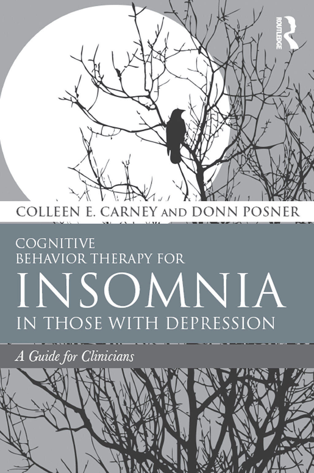 Cognitive Behavior Therapy for Insomnia in Those with Depression A Guide for Clinicians 1st Edition