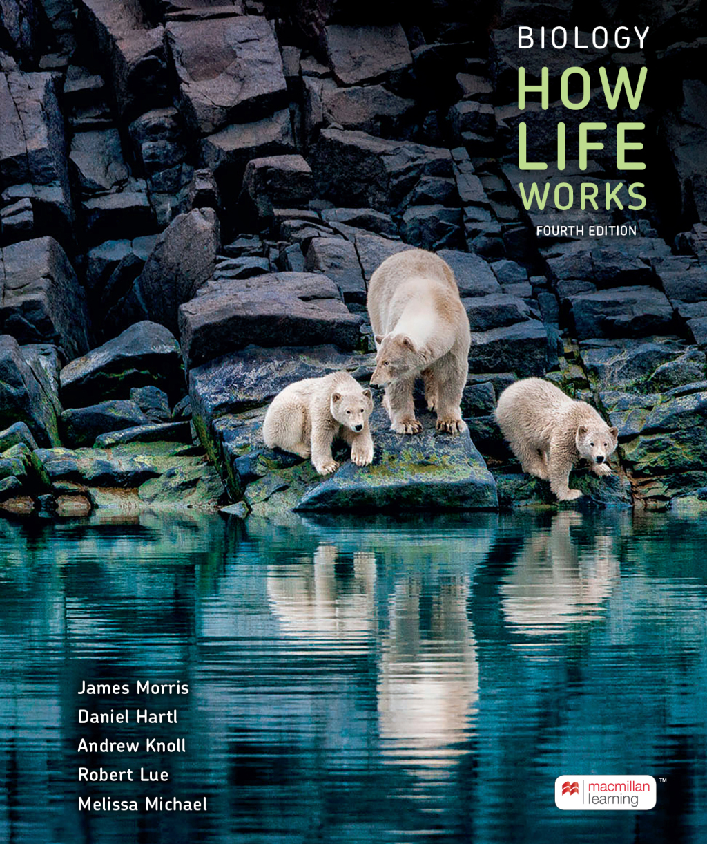 Biology: How Life Works 4th Edition