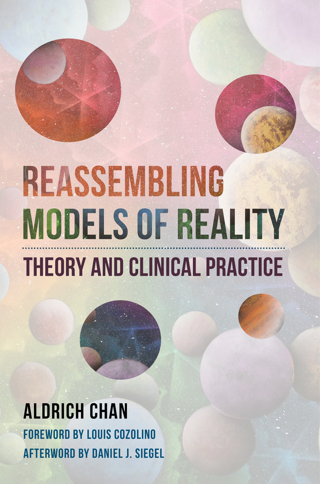 Reassembling Models of Reality: Theory and Clinical Practice (Norton Series on Interpersonal Neurobiology) 
