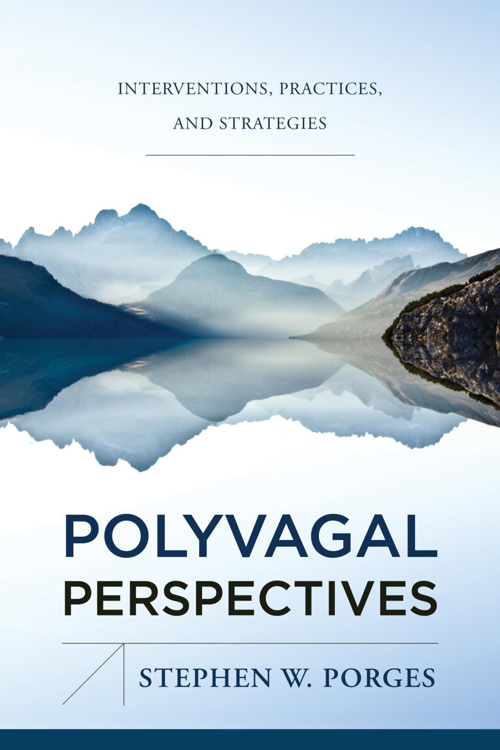 Polyvagal Perspectives: Interventions, Practices, and Strategies (Norton Series on Interpersonal Neurobiology) 1st Edition