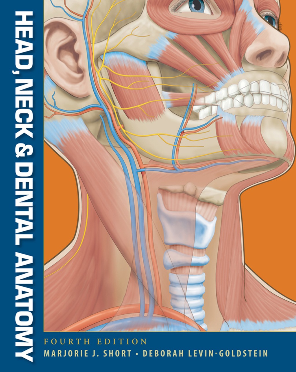 Head, Neck and Dental Anatomy 4th Edition