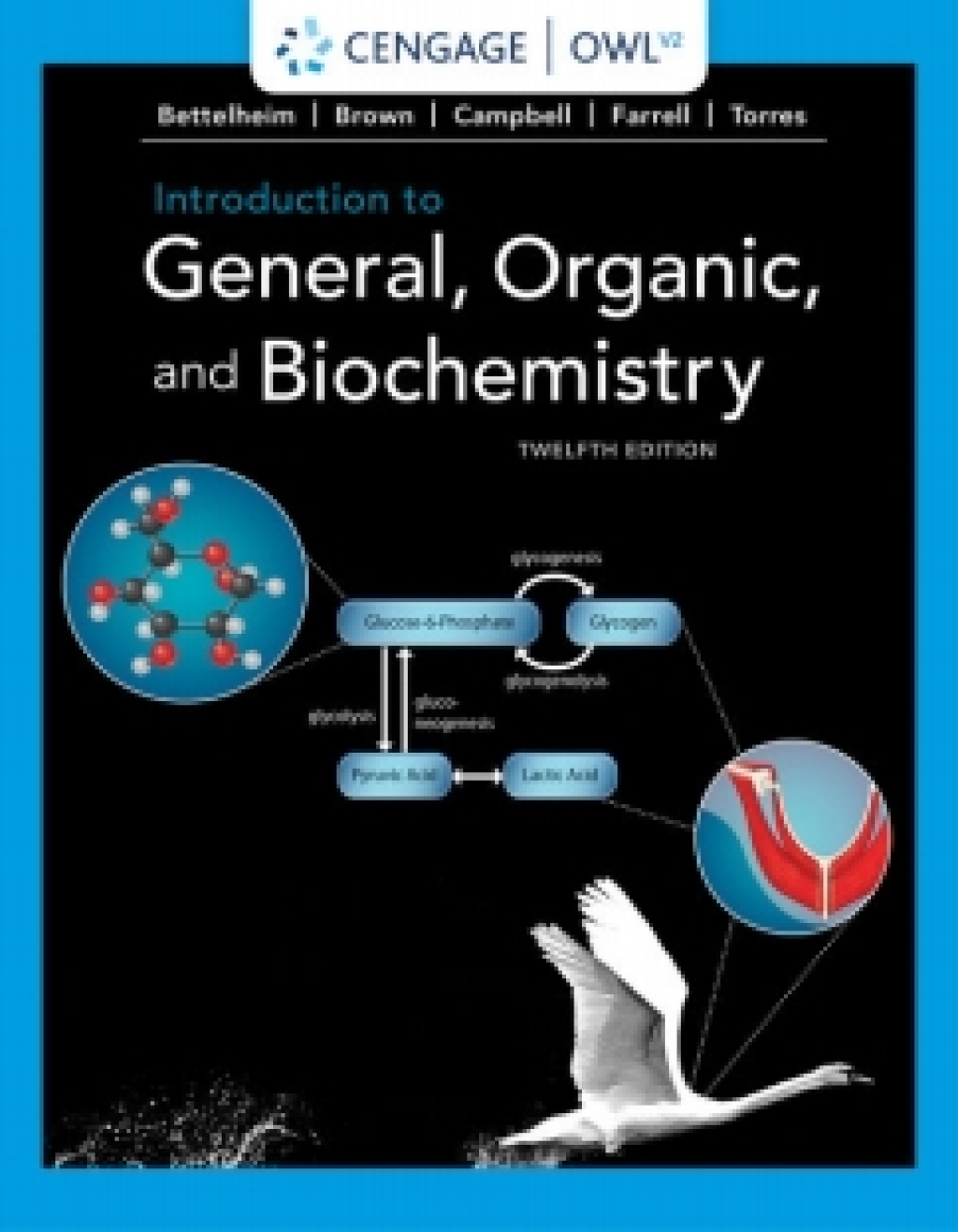 OWLv2 for Bettelheim/Brown/Campbell/Farrell/Torres' Introduction to General, Organic, and Biochemistry, 12th Edition [Instant Access], 1 term 12th Edition