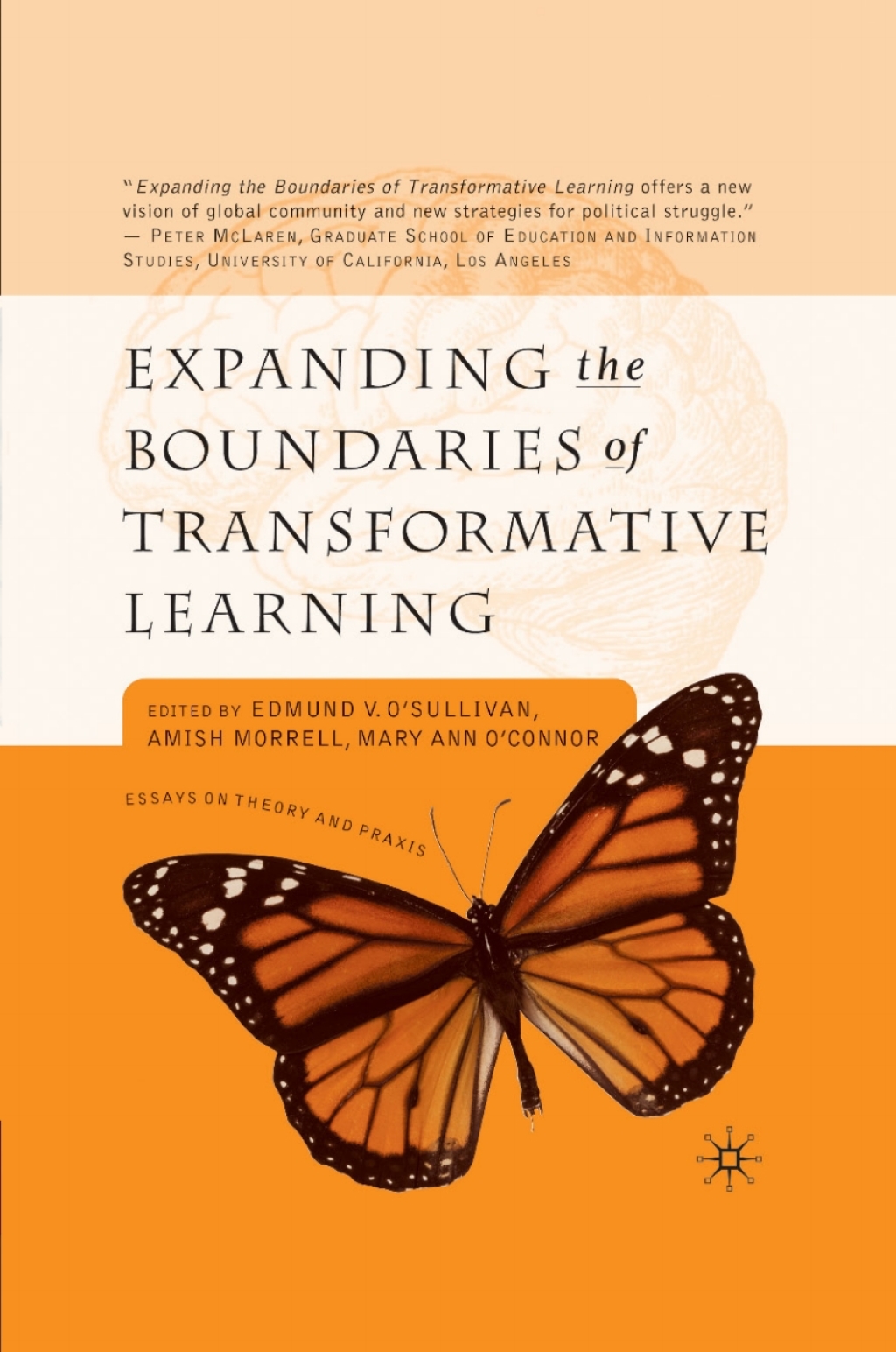 Expanding the Boundaries of Transformative Learning 1st Edition