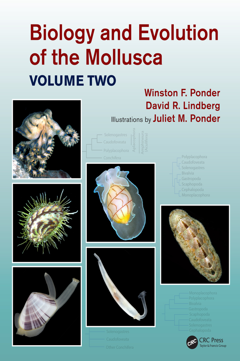 Biology and Evolution of the Mollusca, Volume 2 1st Edition