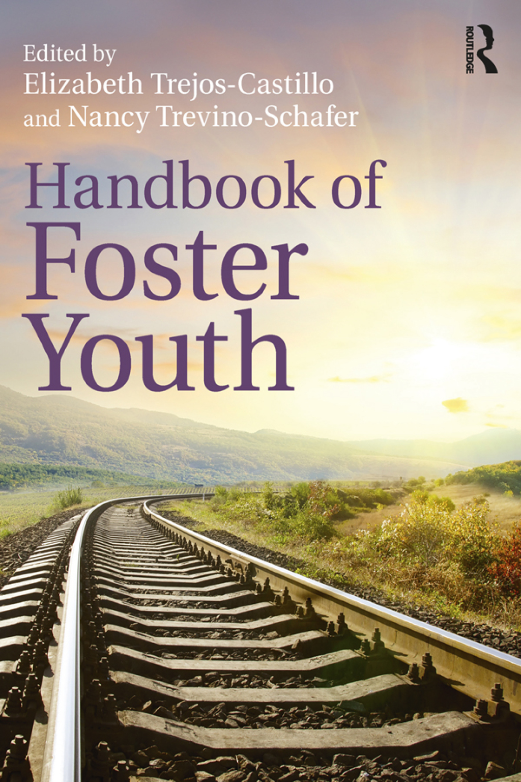 Handbook of Foster Youth 1st Edition