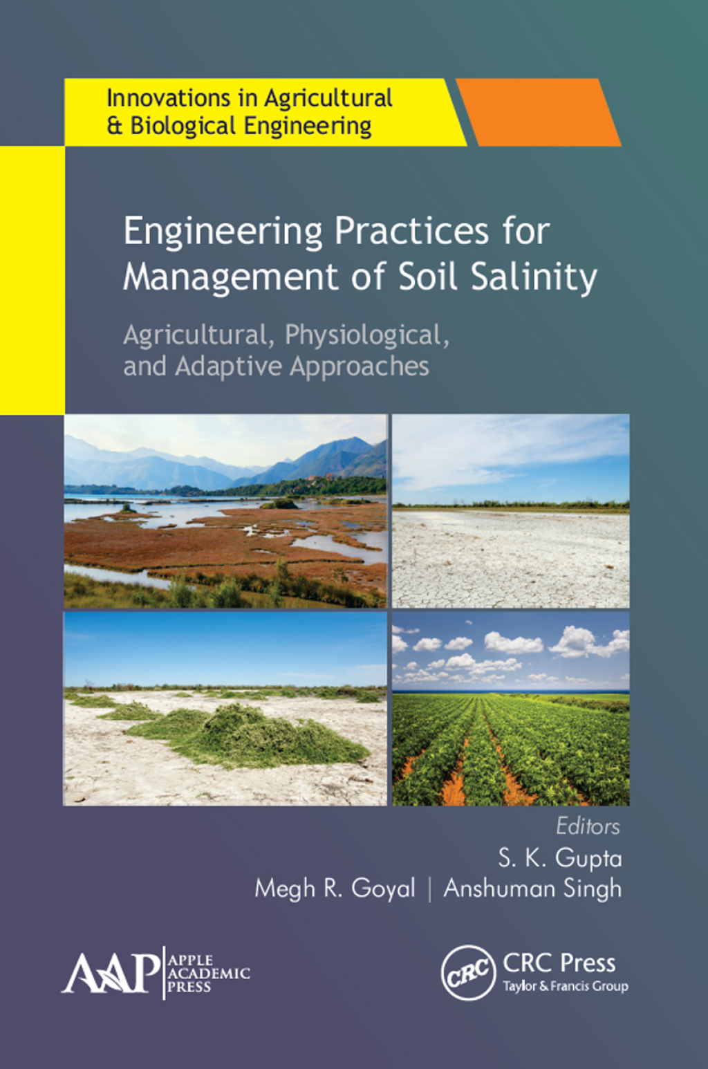 Engineering Practices for Management of Soil Salinity Agricultural, Physiological, and Adaptive Approaches 1st Edition