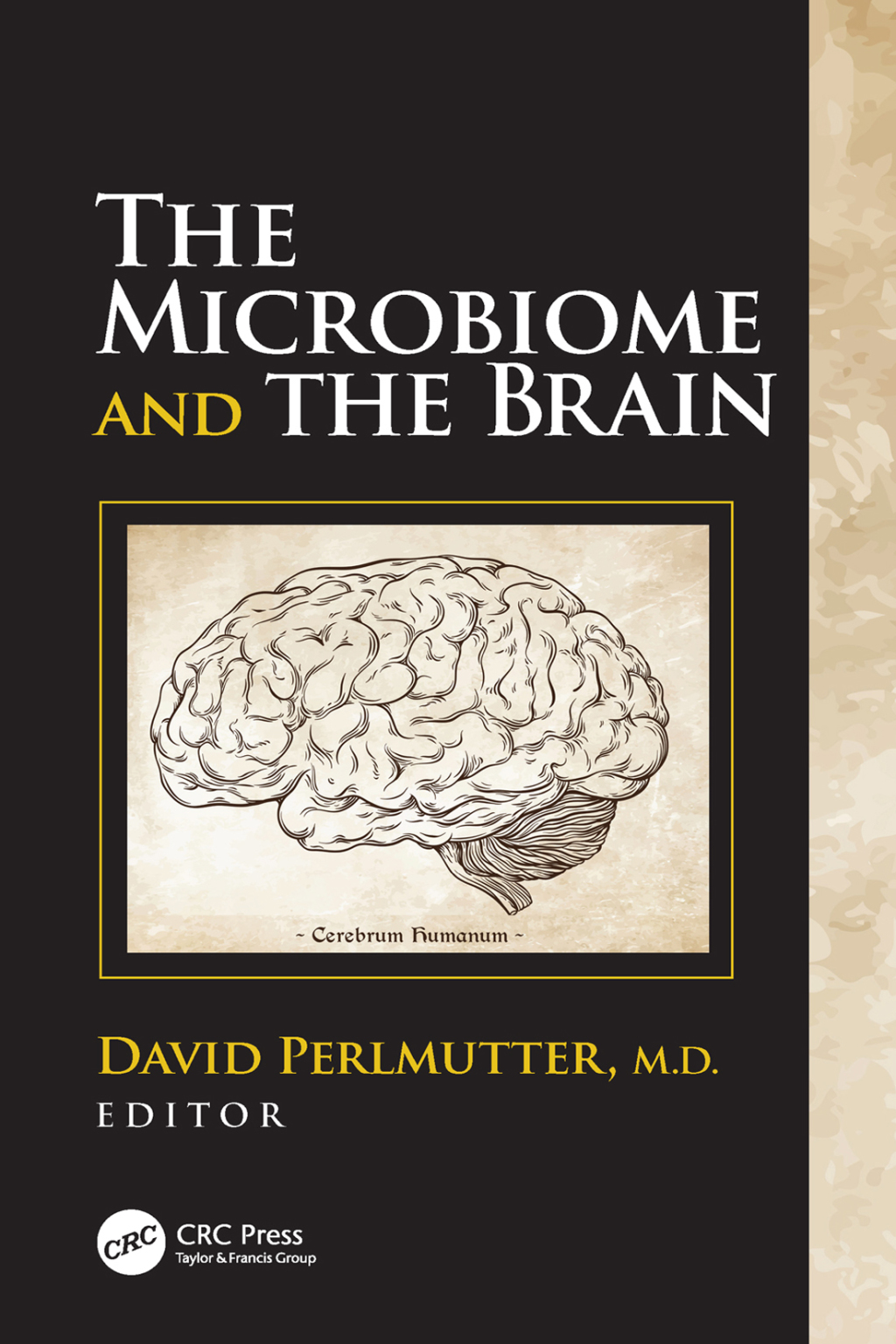 The Microbiome and the Brain 1st Edition