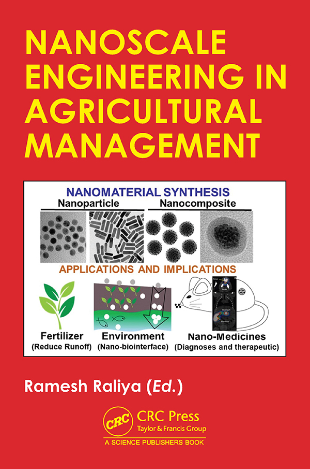 Nanoscale Engineering in Agricultural Management 1st Edition