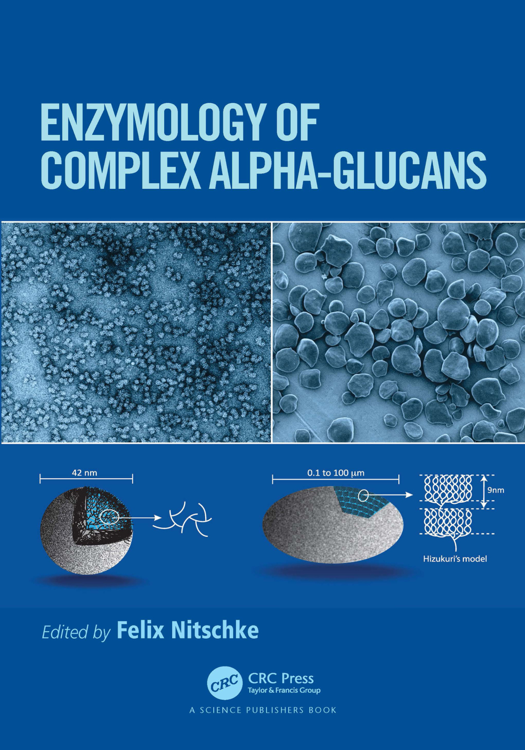 Enzymology of Complex Alpha-Glucans 1st Edition