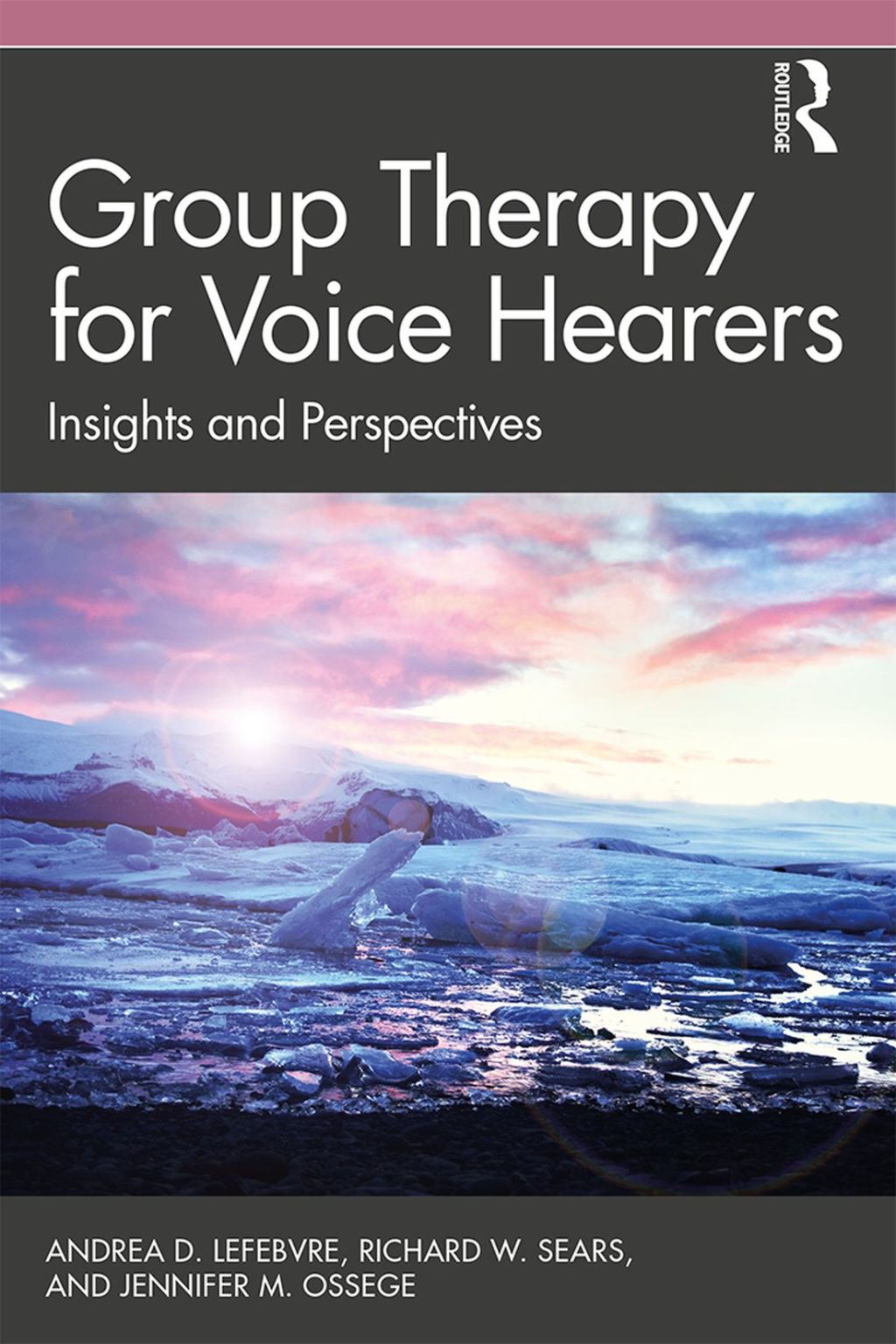 Group Therapy for Voice Hearers Insights and Perspectives 1st Edition