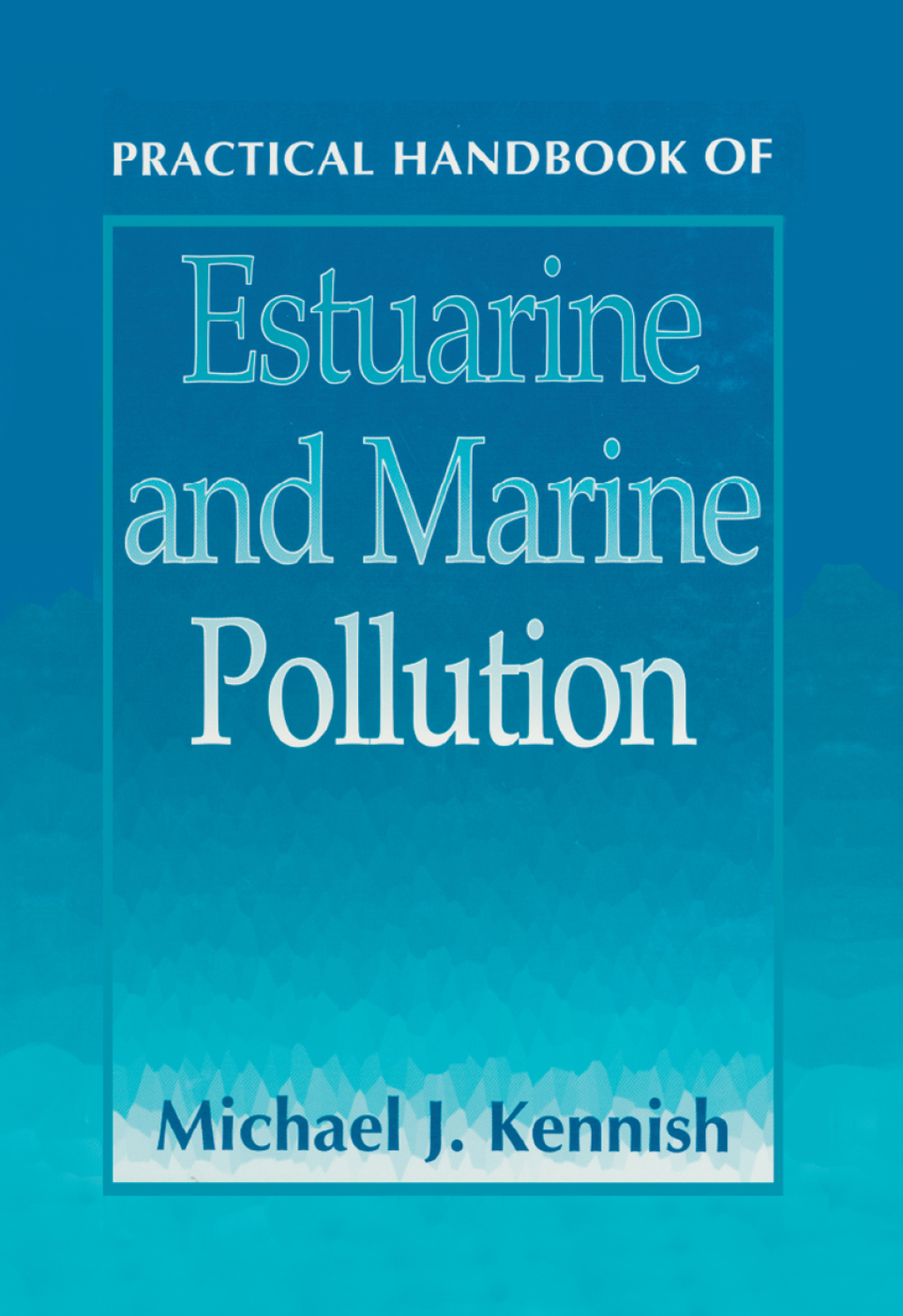 Practical Handbook of Estuarine and Marine Pollution 1st Edition