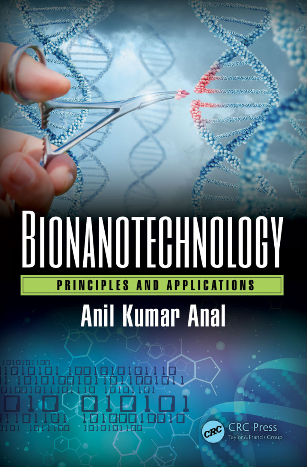 Bionanotechnology Principles and Applications 1st Edition