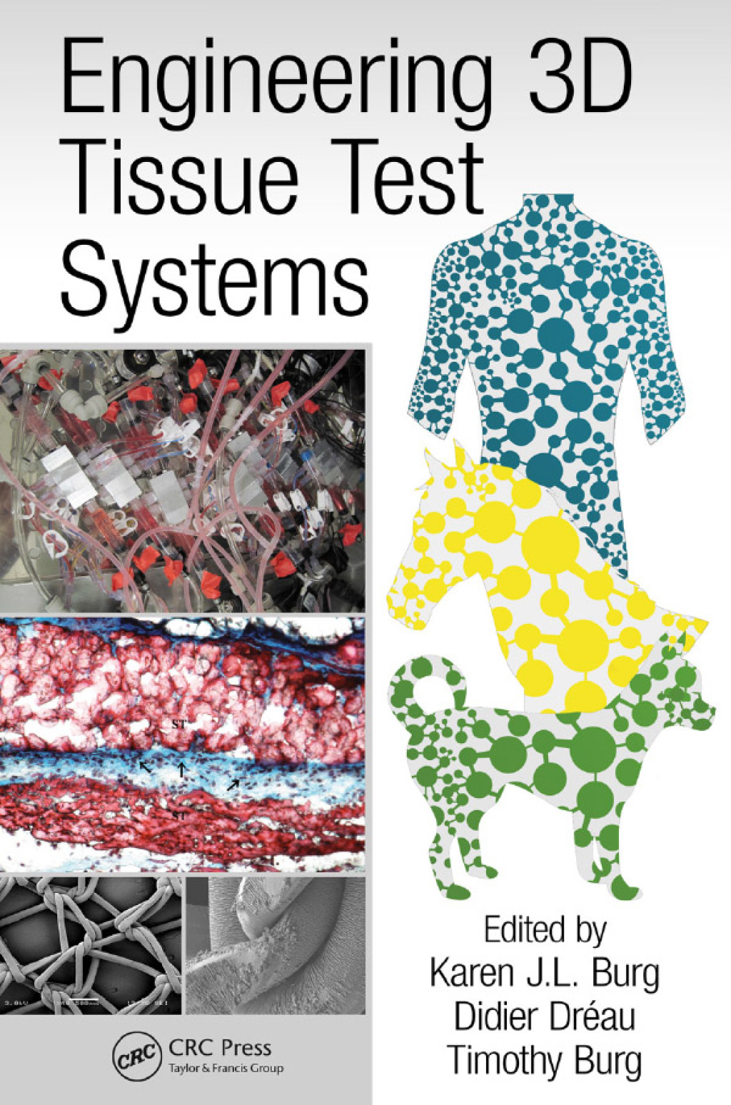 Engineering 3D Tissue Test Systems 1st Edition