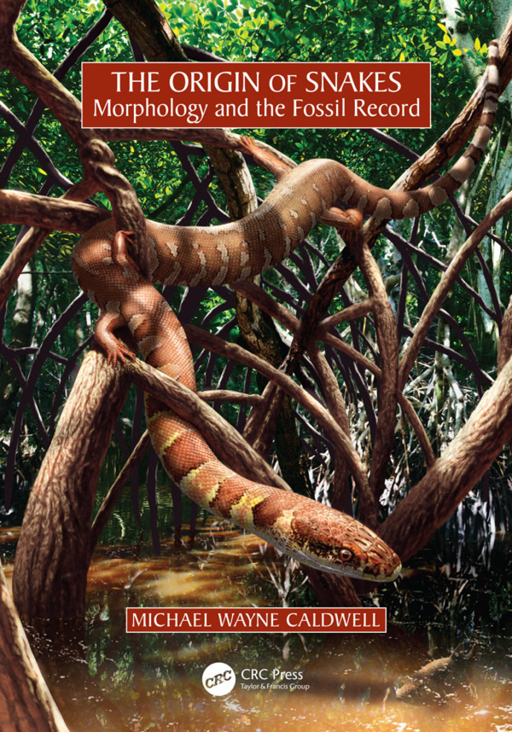 The Origin of Snakes Morphology and the Fossil Record 1st Edition