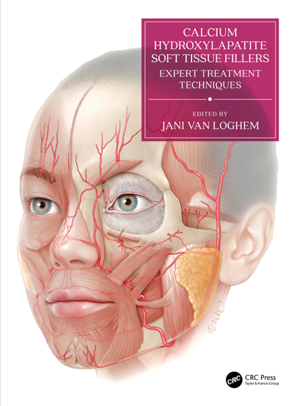 Calcium Hydroxylapatite Soft Tissue Fillers Expert Treatment Techniques 1st Edition