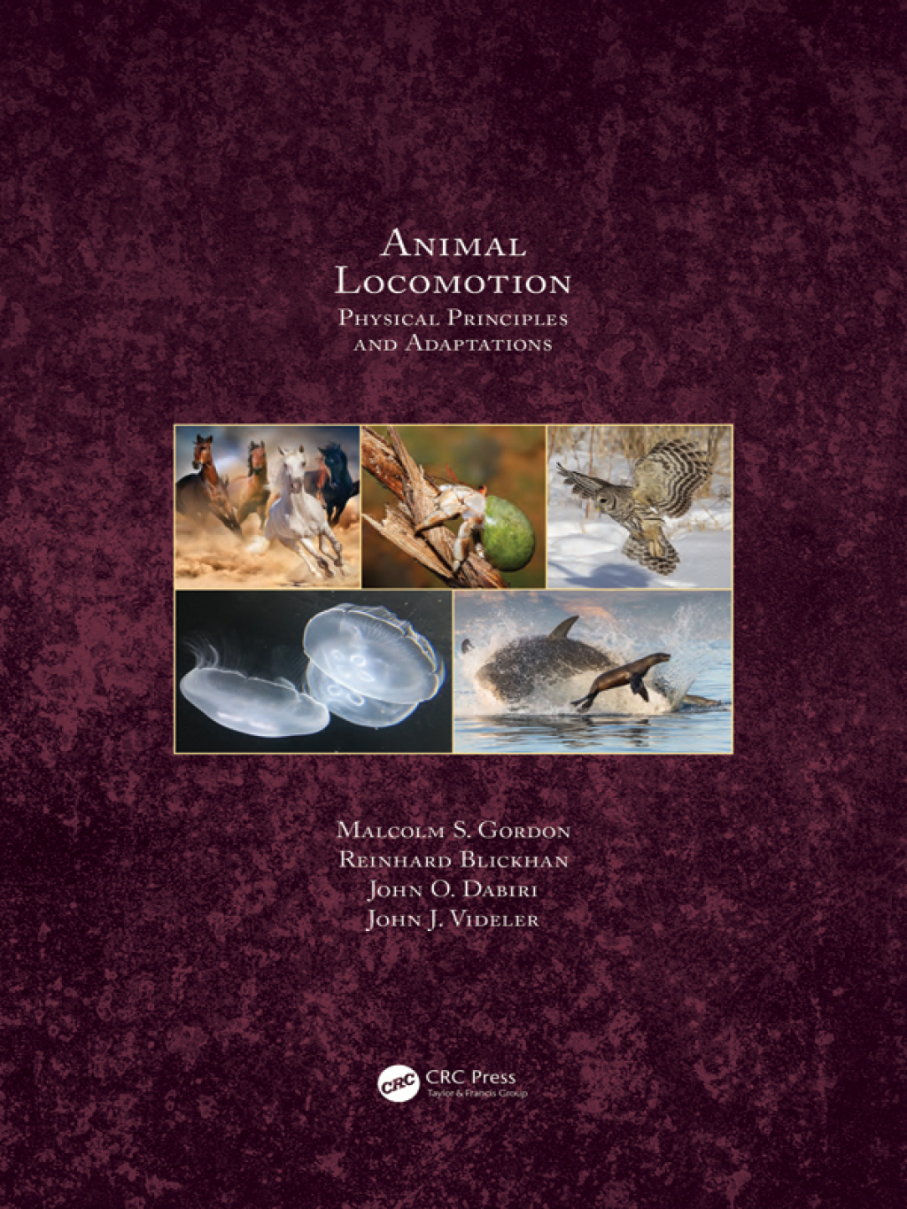 Animal Locomotion Physical Principles and Adaptations 1st Edition