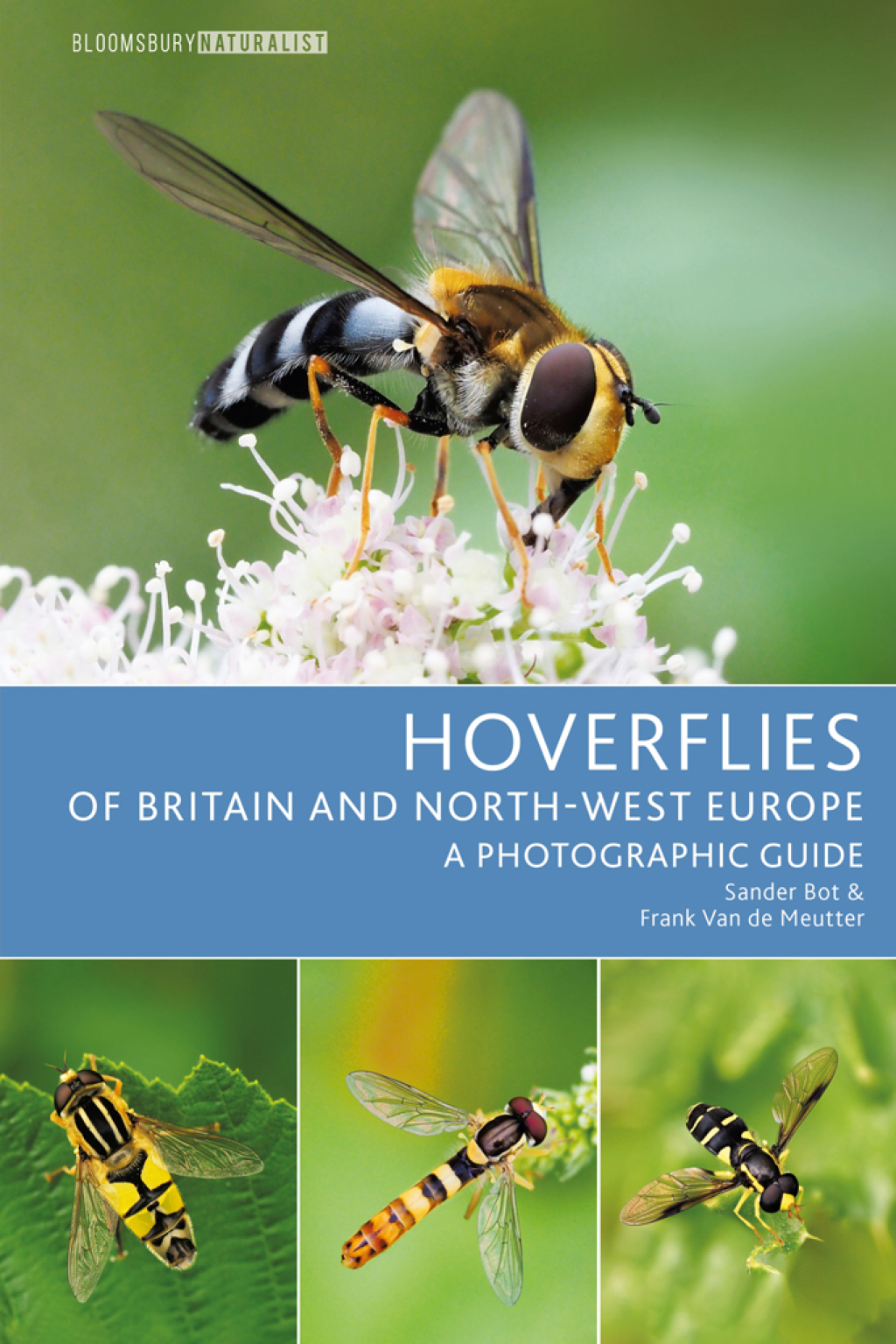 Hoverflies of Britain and North-west Europe A photographic guide 1st Edition
