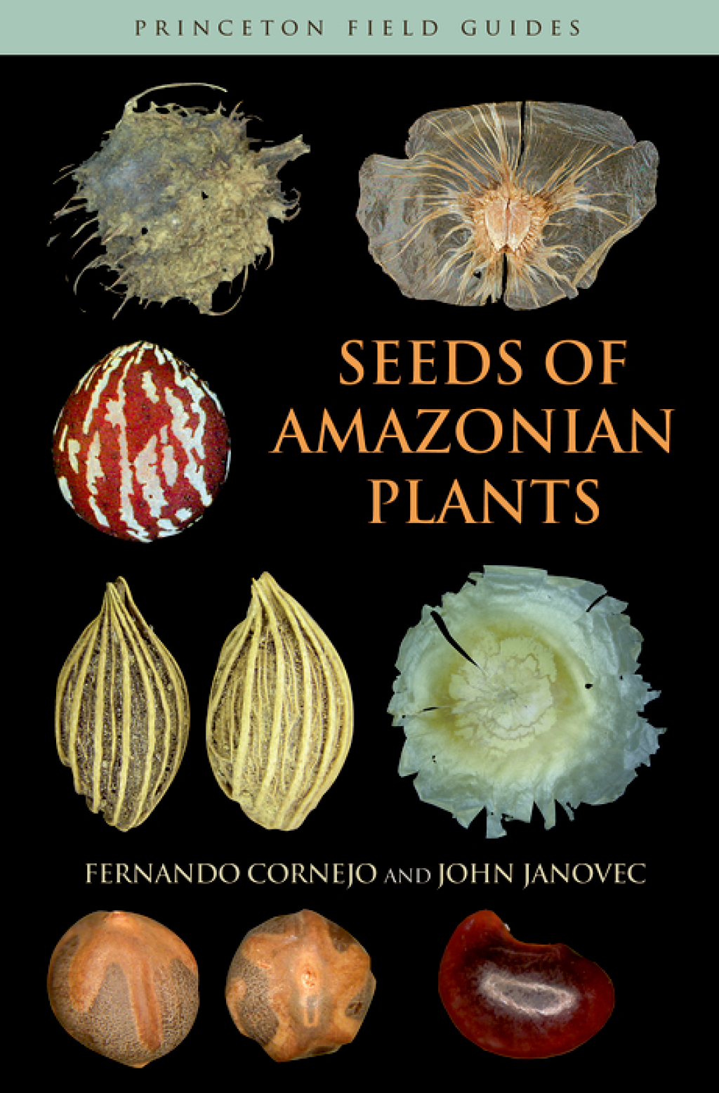 Seeds of Amazonian Plants 