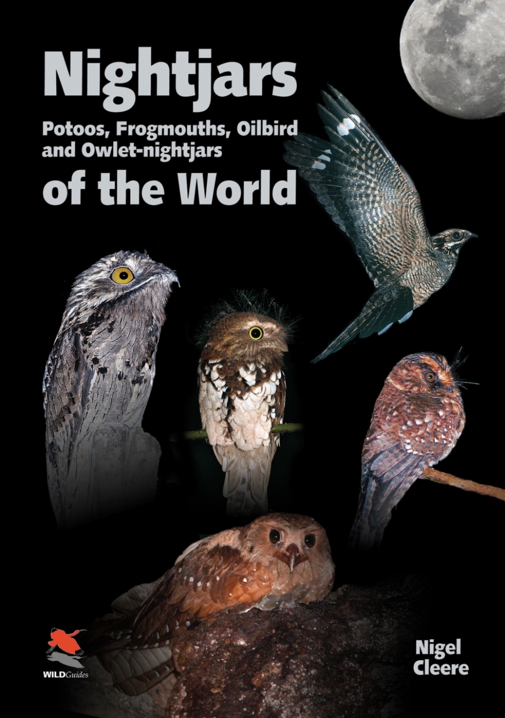 Nightjars, Potoos, Frogmouths, Oilbird, and Owlet-nightjars of the World 