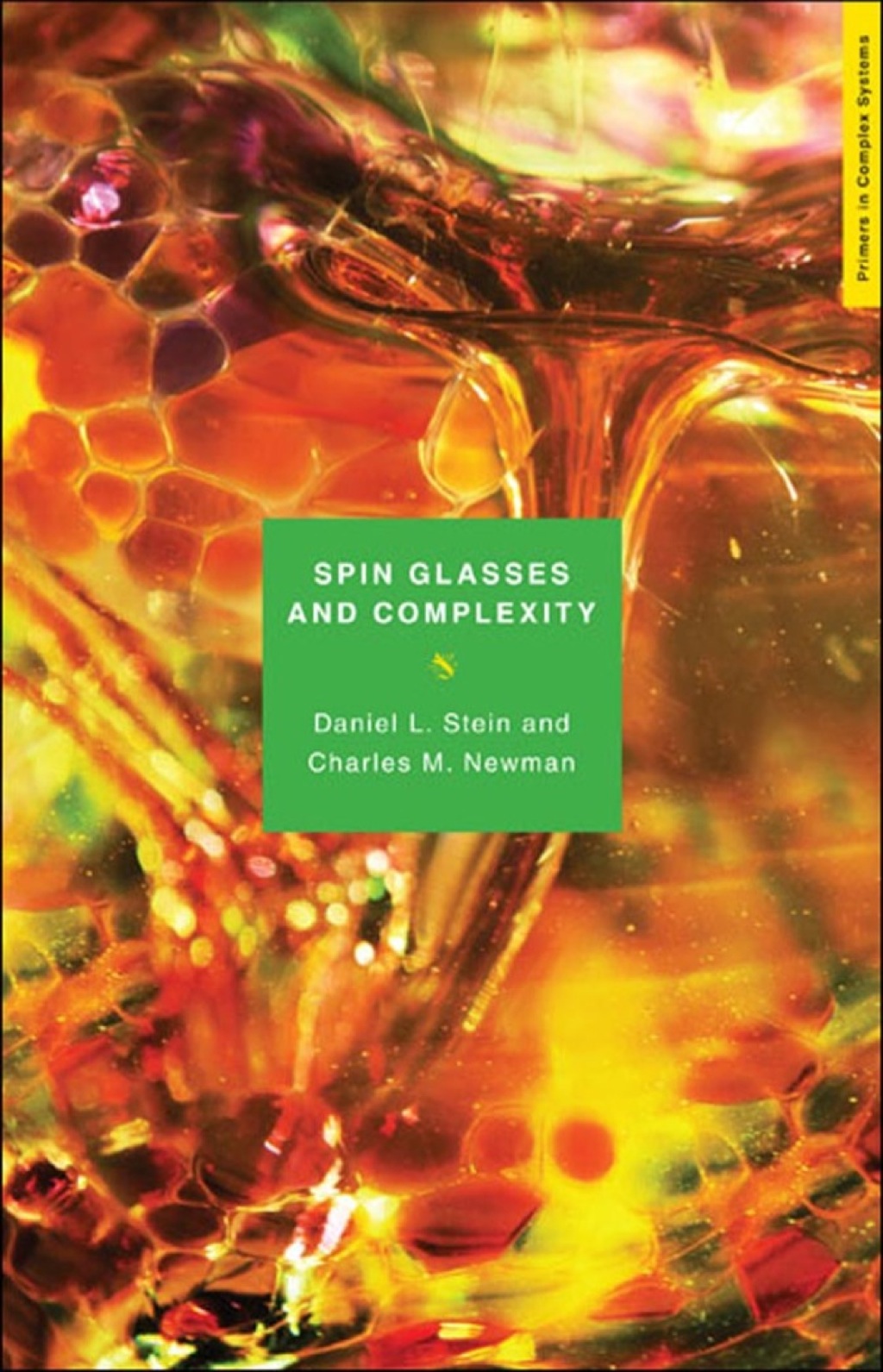 Spin Glasses and Complexity 