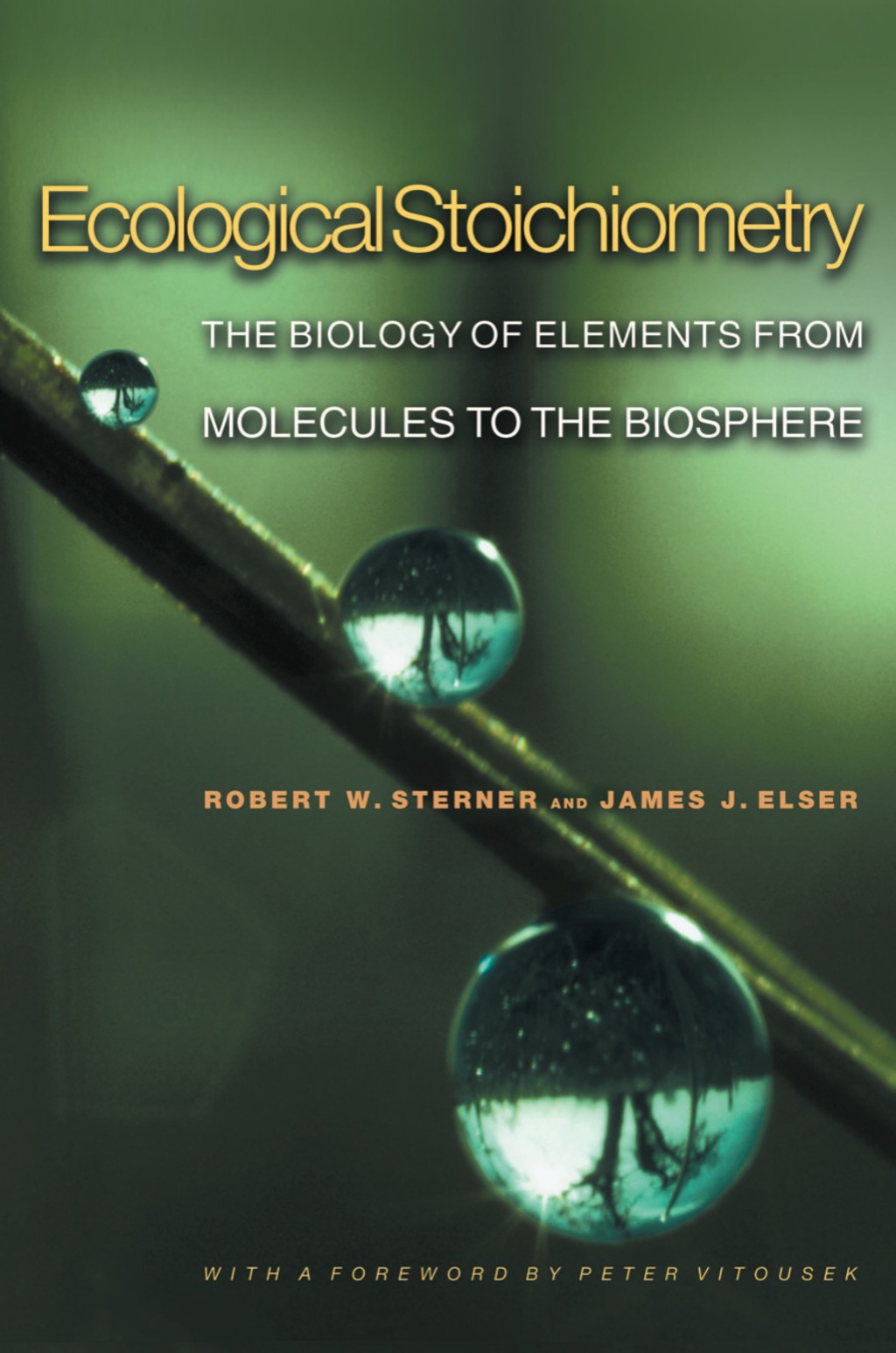 Ecological Stoichiometry The Biology of Elements from Molecules to the Biosphere 