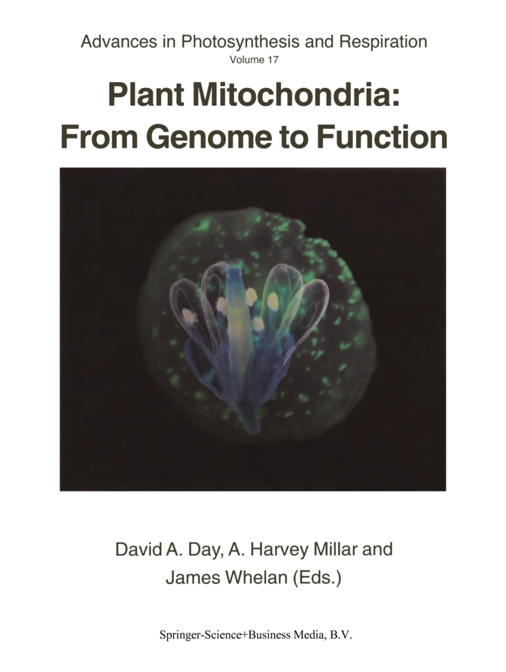 Plant Mitochondria: From Genome to Function 1st Edition