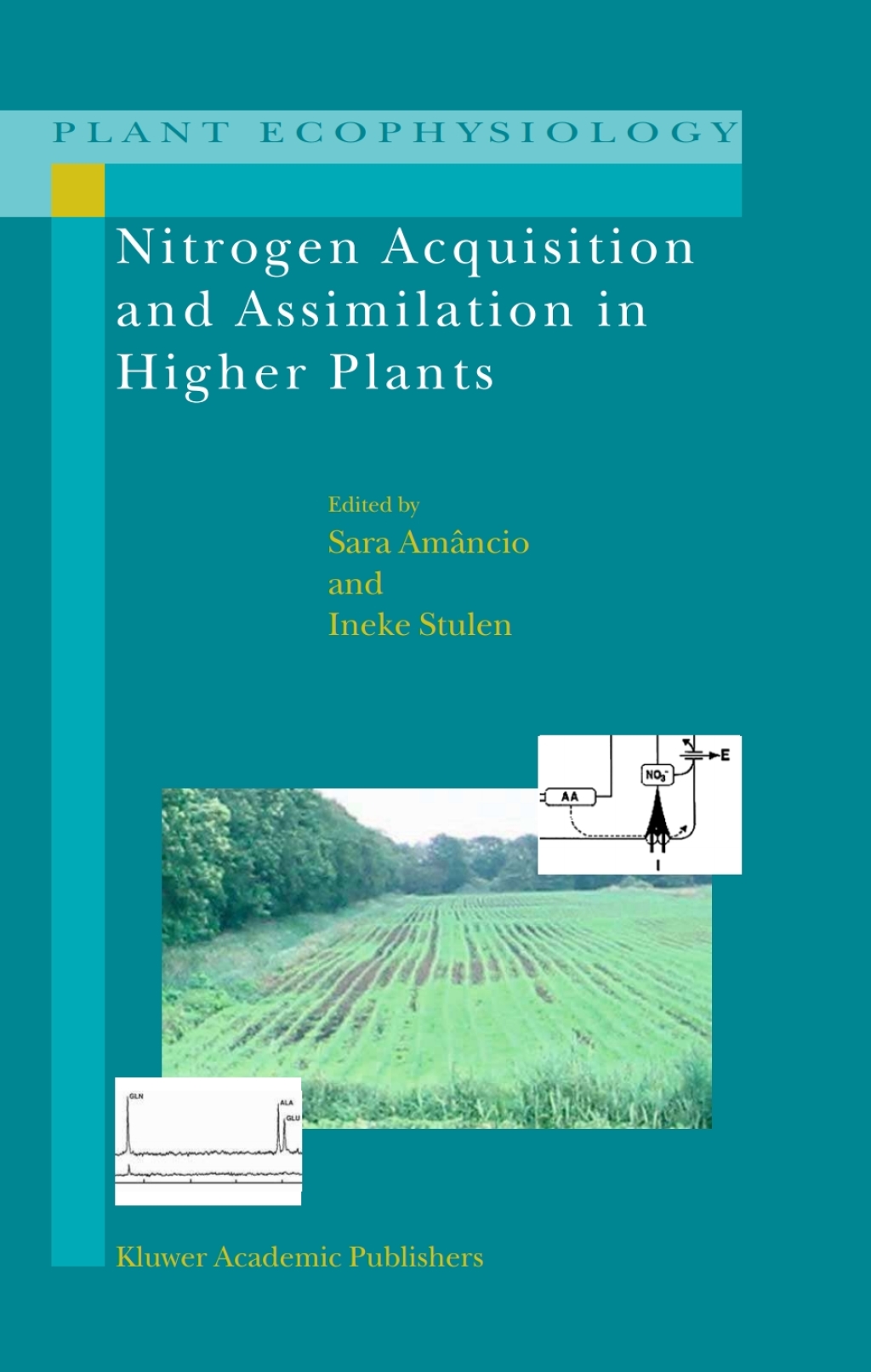 Nitrogen Acquisition and Assimilation in Higher Plants 1st Edition