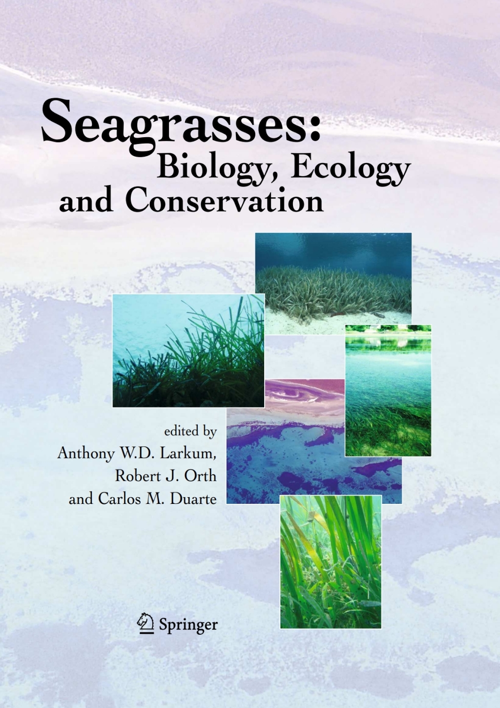 Seagrasses: Biology, Ecology and Conservation 1st Edition