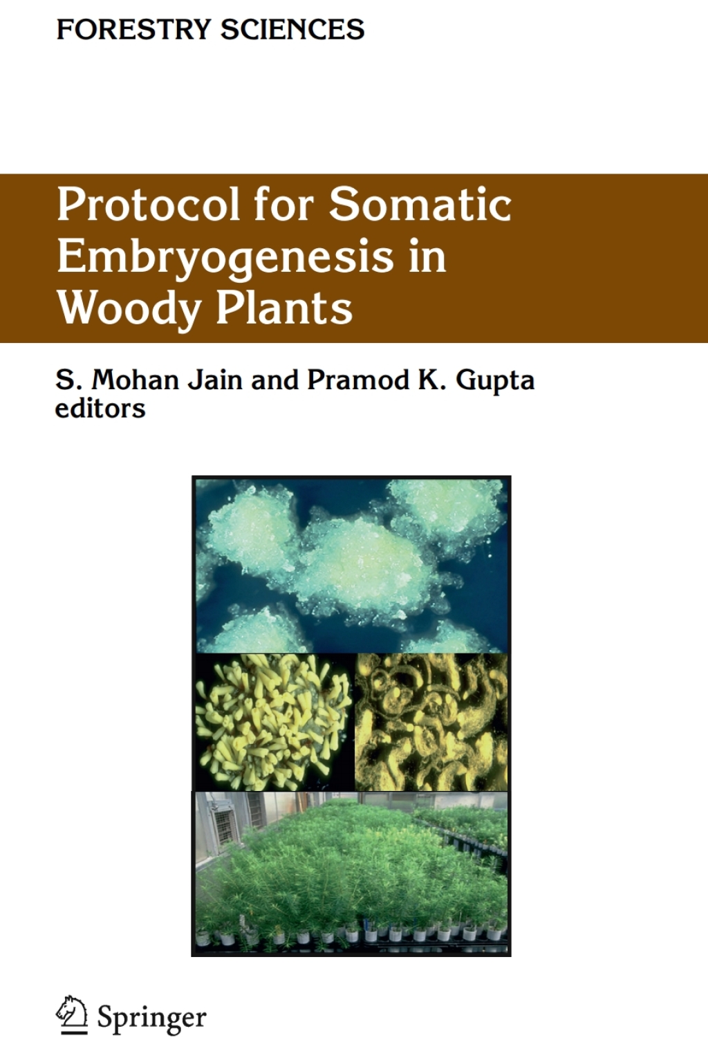 Protocol for Somatic Embryogenesis in Woody Plants 1st Edition