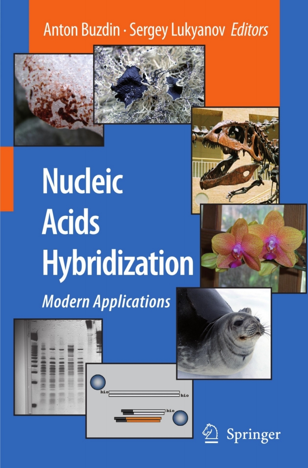 Nucleic Acids Hybridization Modern Applications 1st Edition