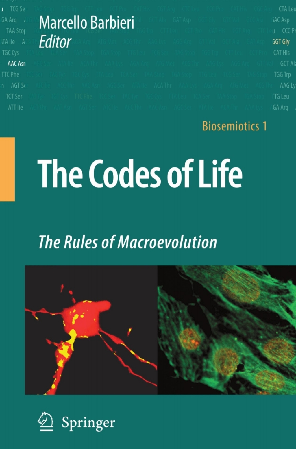 The Codes of Life The Rules of Macroevolution 1st Edition