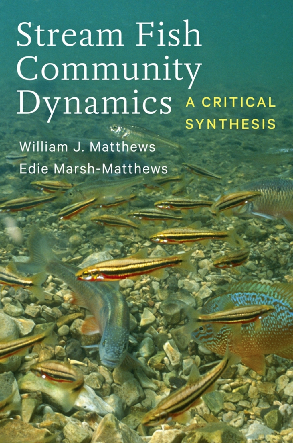 Stream Fish Community Dynamics A Critical Synthesis 