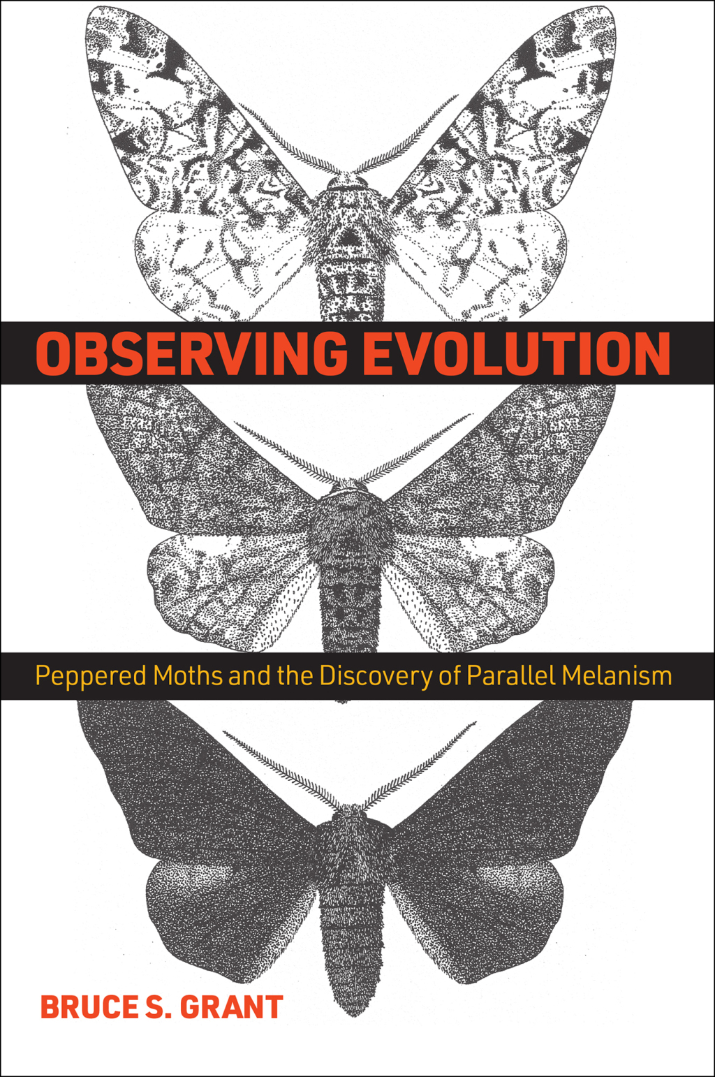 Observing Evolution Peppered Moths and the Discovery of Parallel Melanism 