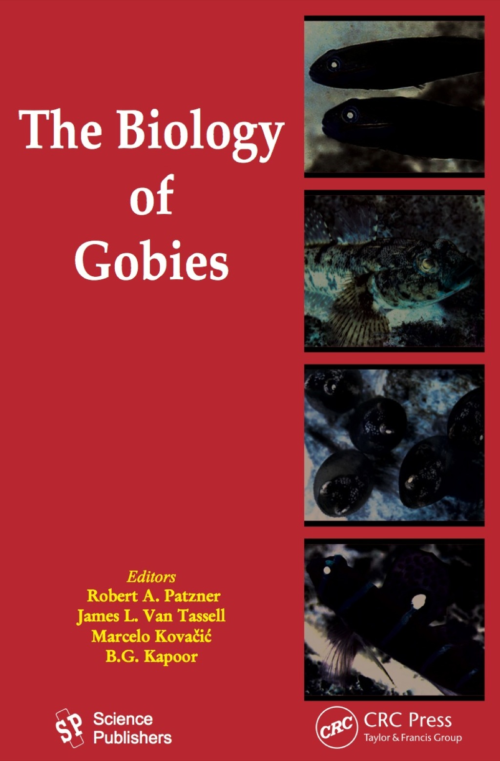 The Biology of Gobies 1st Edition