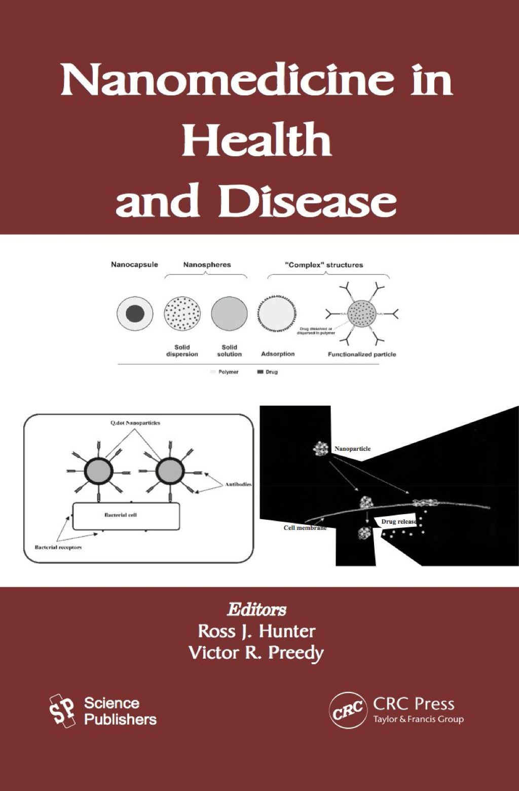 Nanomedicine in Health and Disease 1st Edition