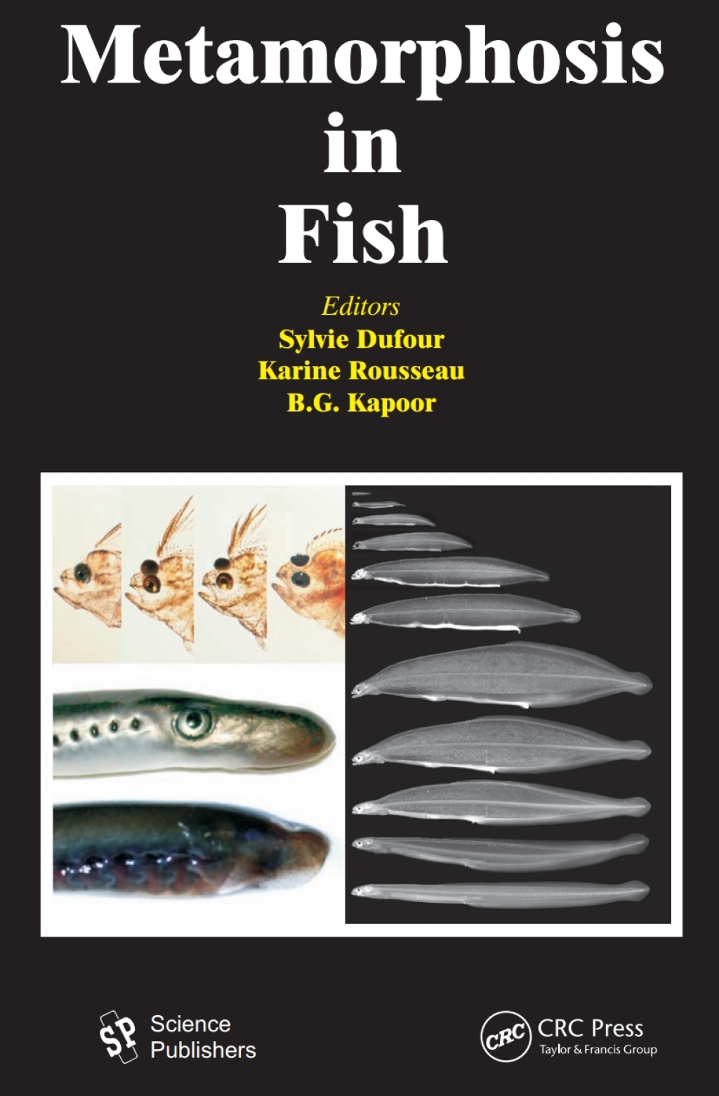 Metamorphosis in Fish 1st Edition