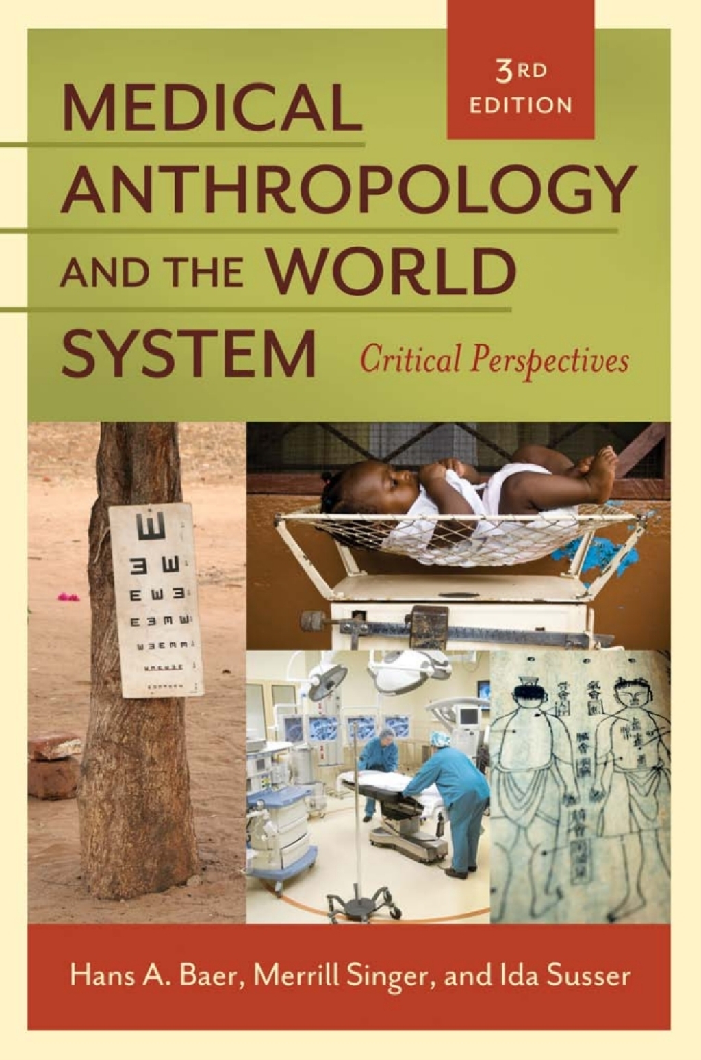 Medical Anthropology and the World System: Critical Perspectives 3rd Edition