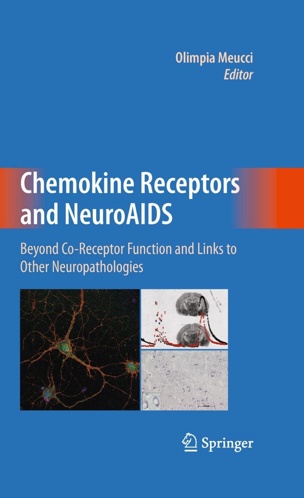 Chemokine Receptors and NeuroAIDS Beyond Co-Receptor Function and Links to Other Neuropathologies 1st Edition
