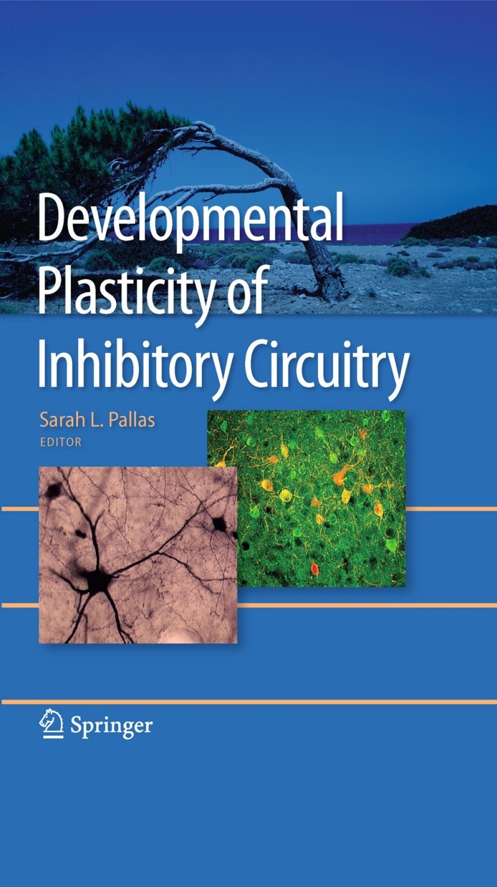 Developmental Plasticity of Inhibitory Circuitry 1st Edition