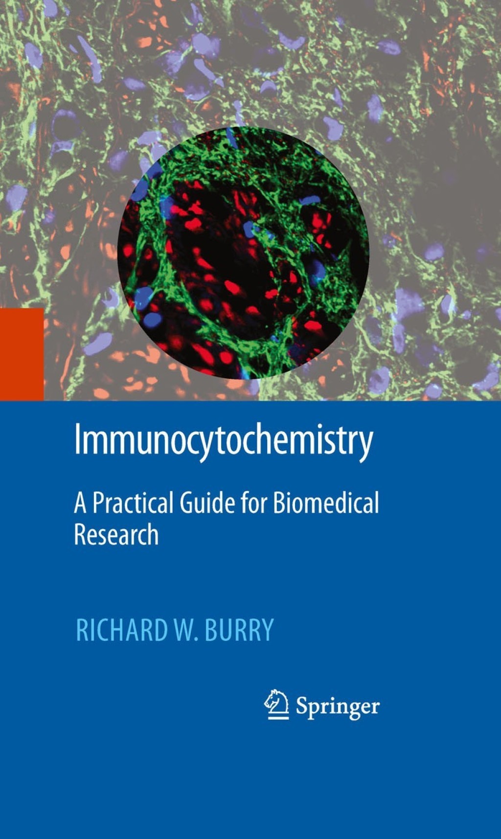 Immunocytochemistry A Practical Guide for Biomedical Research 