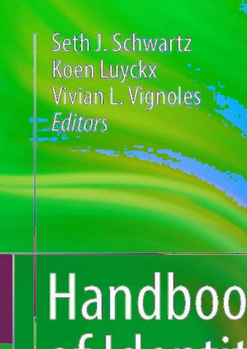 Handbook of Identity Theory and Research 