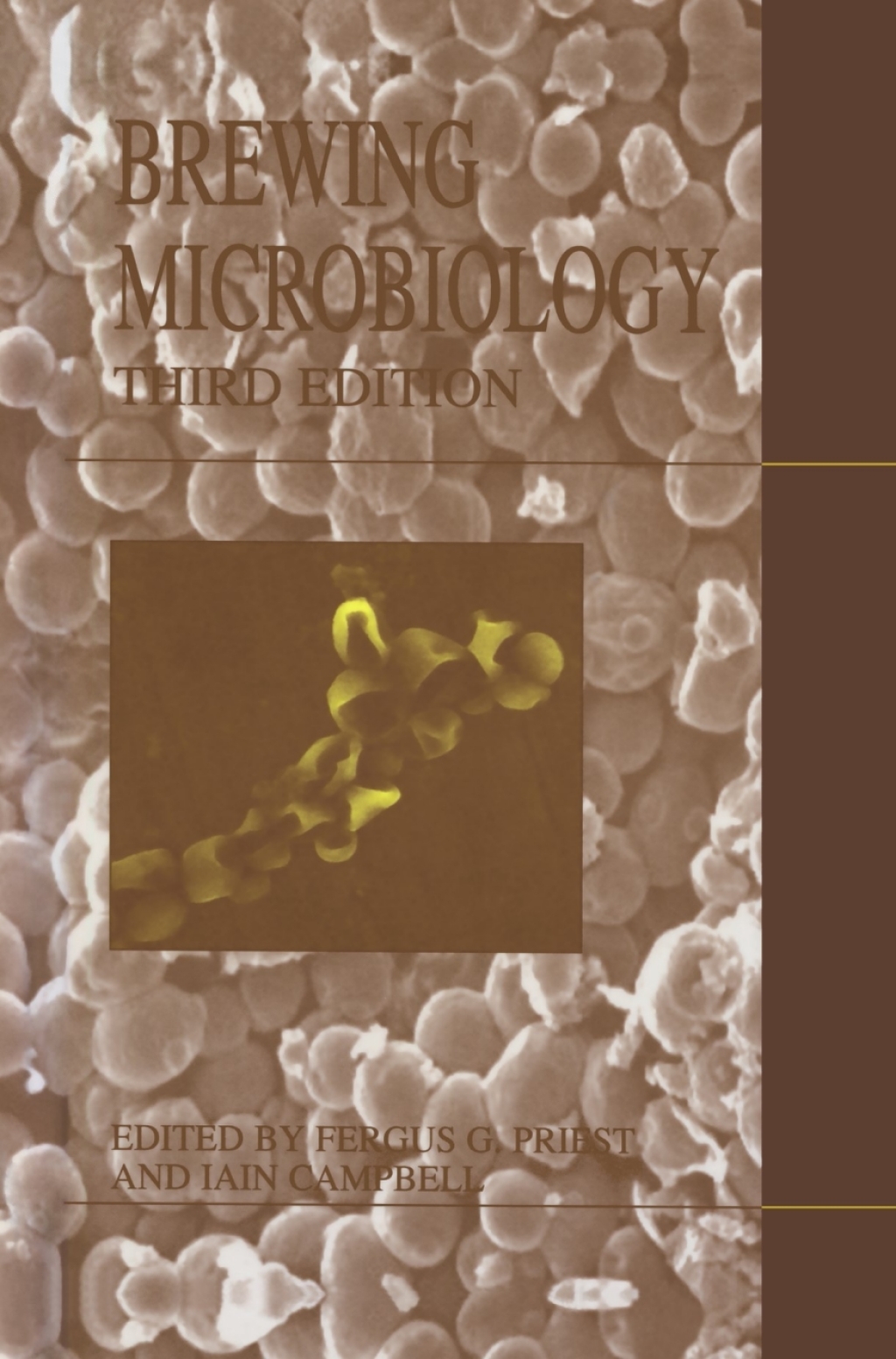Brewing Microbiology 3rd Edition