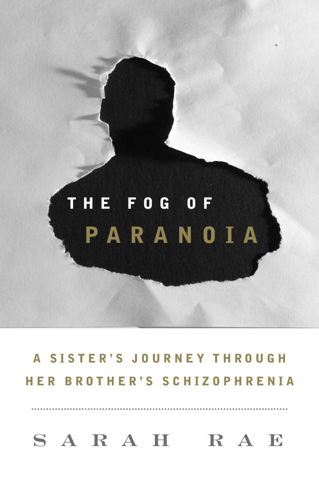 The Fog of Paranoia A Sister's Journey through Her Brother's Schizophrenia 