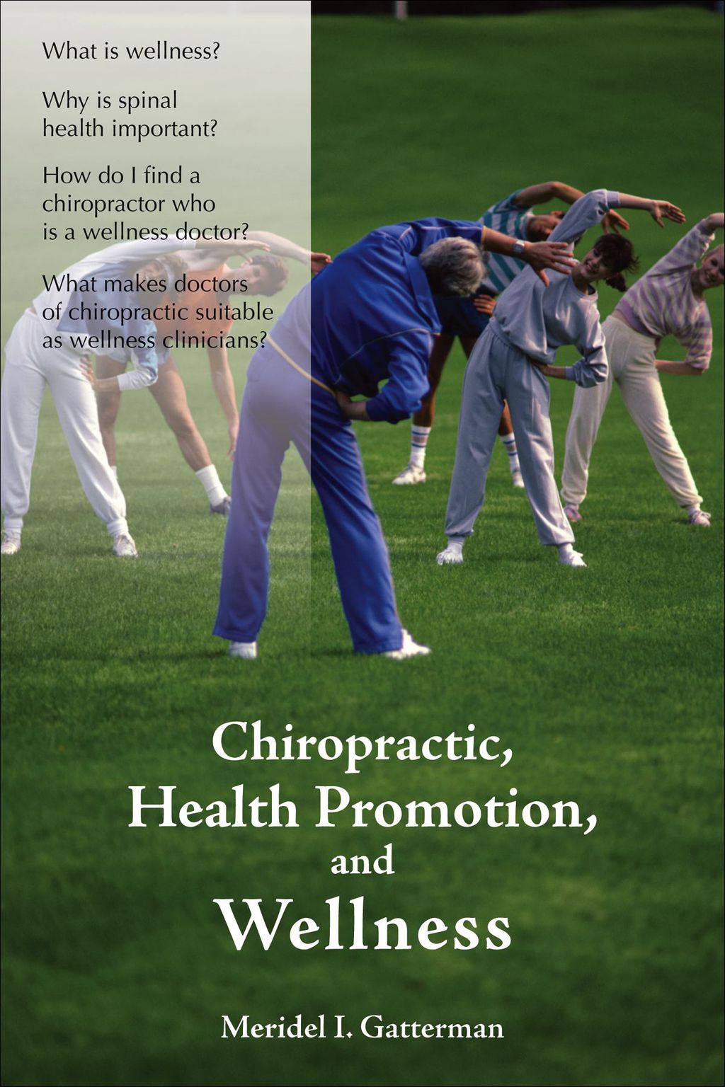 Chiropractic, Health Promotion, and Wellness 1st Edition