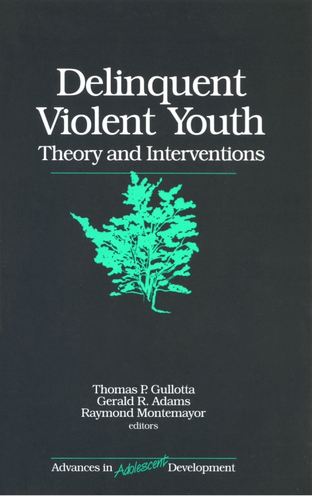 Delinquent Violent Youth Theory and Interventions 1st Edition