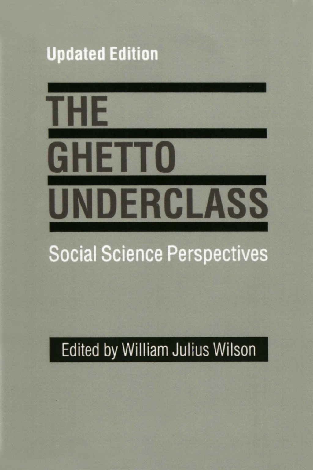 The Ghetto Underclass Social Science Perspectives 1st Edition