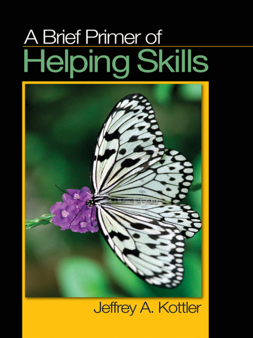 A Brief Primer of Helping Skills 1st Edition