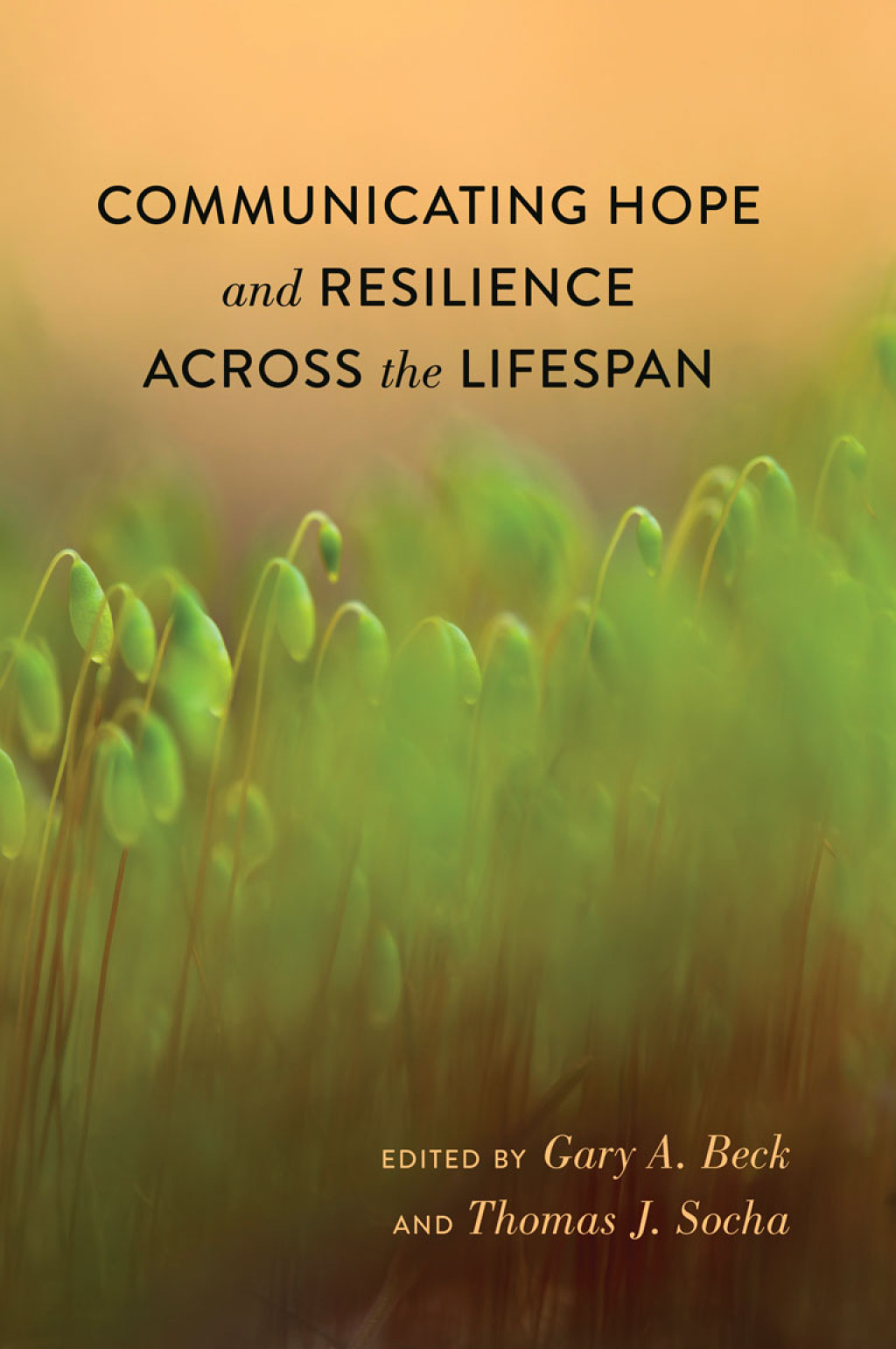 Communicating Hope and Resilience Across the Lifespan 1st Edition
