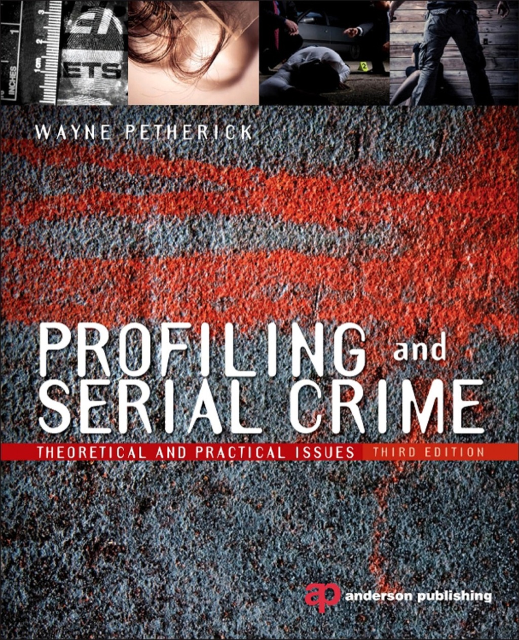 Profiling and Serial Crime: Theoretical and Practical Issues 3rd Edition