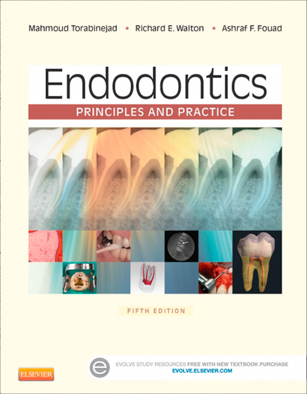 Endodontics: Principles and Practice 5th Edition